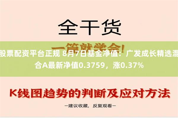 股票配资平台正规 8月7日基金净值：广发成长精选混合A最新净值0.3759，涨0.37%