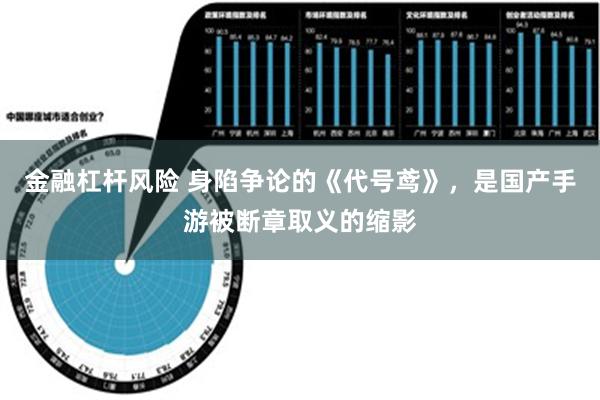 金融杠杆风险 身陷争论的《代号鸢》，是国产手游被断章取义的缩影