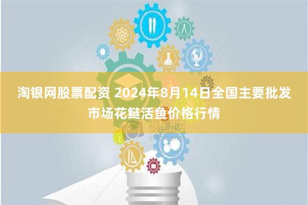 淘银网股票配资 2024年8月14日全国主要批发市场花鲢活鱼价格行情