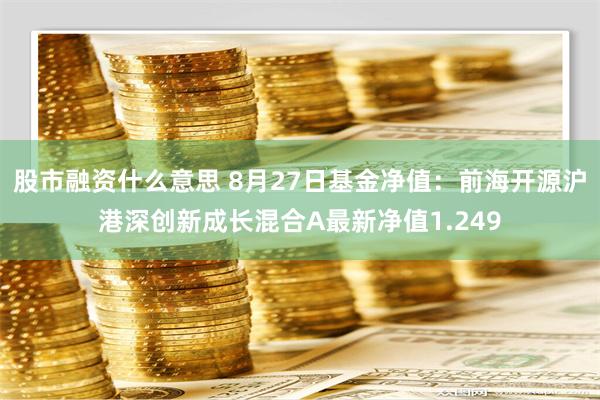 股市融资什么意思 8月27日基金净值：前海开源沪港深创新成长混合A最新净值1.249