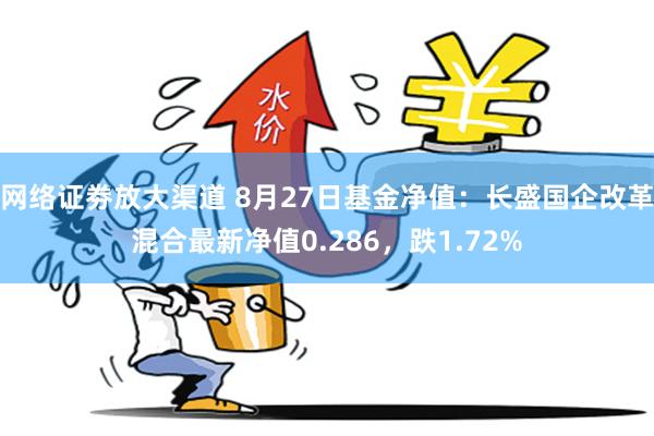 网络证劵放大渠道 8月27日基金净值：长盛国企改革混合最新净值0.286，跌1.72%