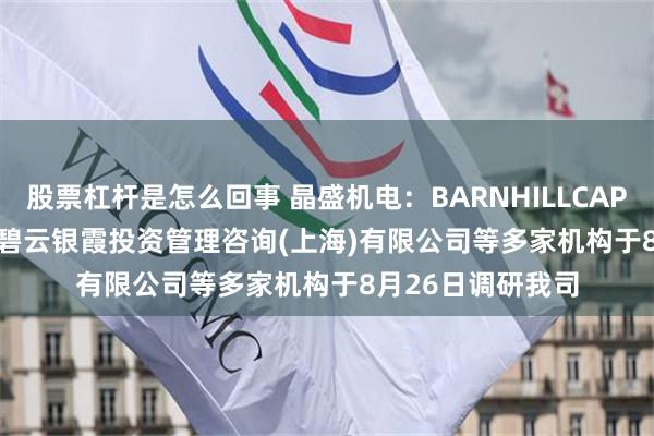 股票杠杆是怎么回事 晶盛机电：BARNHILLCAPITALLIMITED、碧云银霞投资管理咨询(上海)有限公司等多家机构于8月26日调研我司