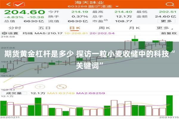 期货黄金杠杆是多少 探访一粒小麦收储中的科技“关键词”