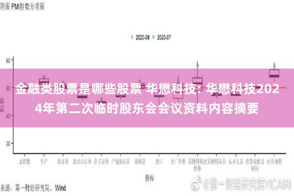 金融类股票是哪些股票 华懋科技: 华懋科技2024年第二次临时股东会会议资料内容摘要