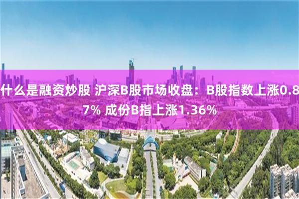 什么是融资炒股 沪深B股市场收盘：B股指数上涨0.87% 成份B指上涨1.36%