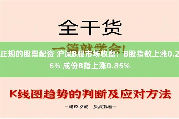 正规的股票配资 沪深B股市场收盘：B股指数上涨0.26% 成份B指上涨0.85%