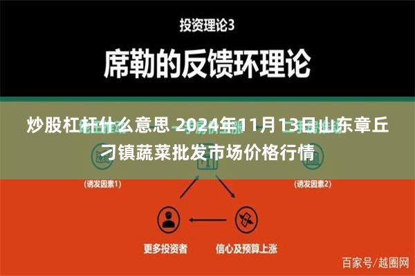 炒股杠杆什么意思 2024年11月13日山东章丘刁镇蔬菜批发市场价格行情