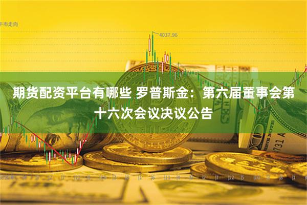 期货配资平台有哪些 罗普斯金：第六届董事会第十六次会议决议公告