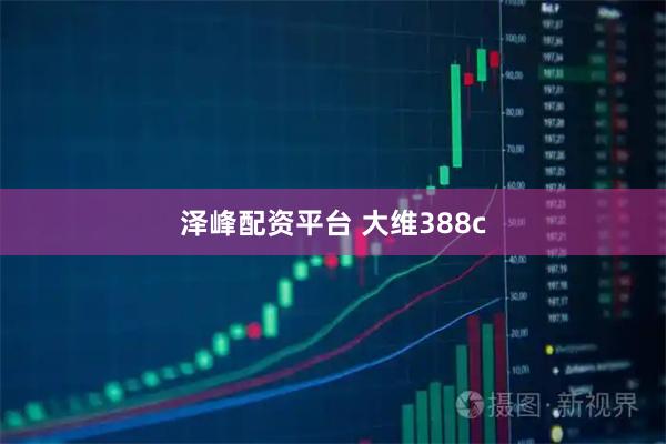 泽峰配资平台 大维388c