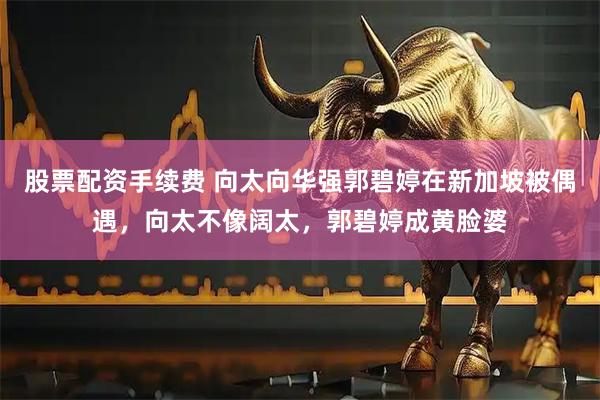 股票配资手续费 向太向华强郭碧婷在新加坡被偶遇，向太不像阔太，郭碧婷成黄脸婆